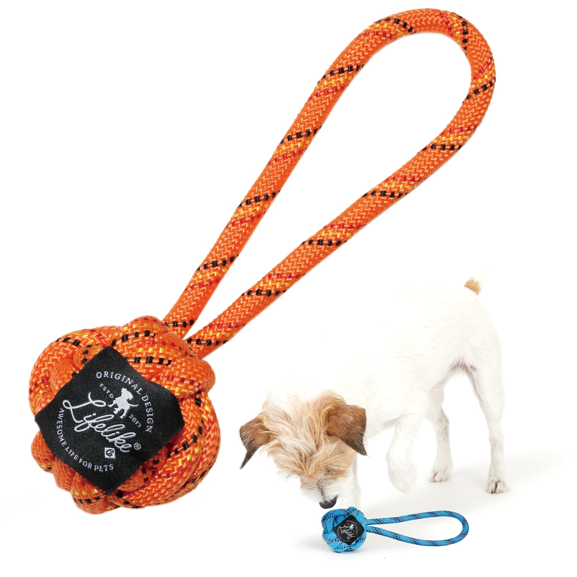 Amazon | 【LIFELIKE公式】パラコードロープ付きボール 犬ロープ